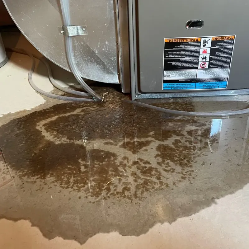 Pipe Burst and Leak Restoration in Mills, WY