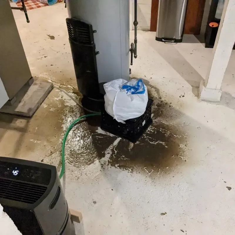 Sewage Backup Cleanup Service in Mills, WY
